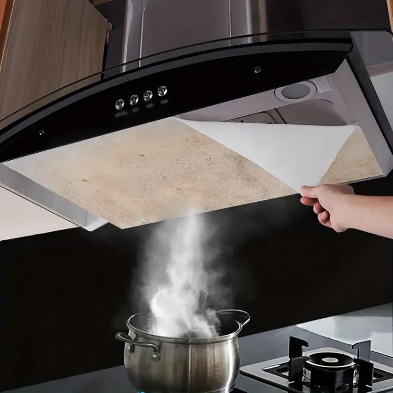 12 adet Tek Kullanımlık Davlum - Commercial Kitchen Oil Filter incelemesi ve fiyatı